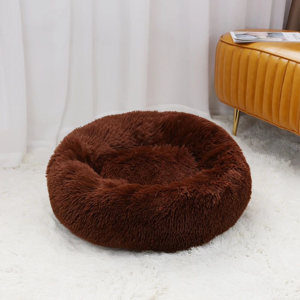Super Soft Cat Bed